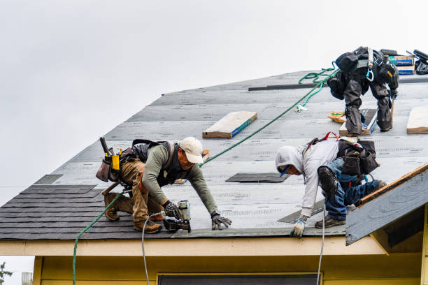 Professional Gutter Installation technician working in Palm Coast, FL